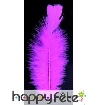 Sachet 100 plumes fuschia pied plat 15 cm