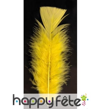 Sachet 100 plumes jaune pied plat 15 cm