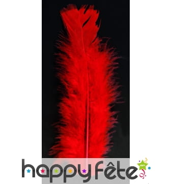 Sachet 100 plumes rouges pied plat 15cm