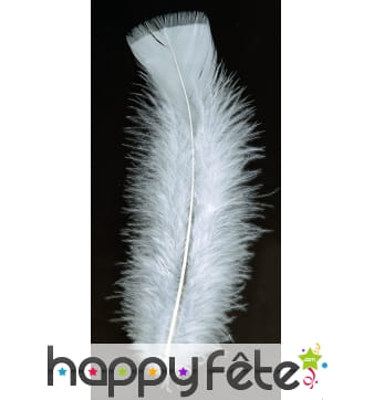 Sachet 50 plumes blanches pied plat 10 cm