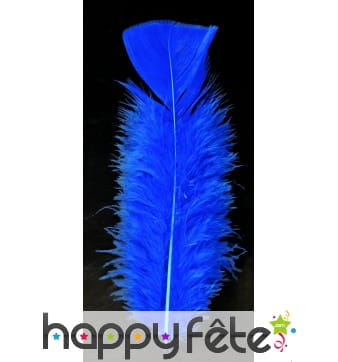 Sachet 50 plumes bleues pied plat 10 cm