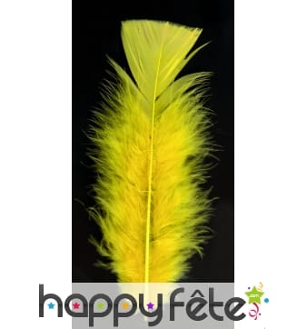 Sachet 50 plumes jaune pied plat 10 cm