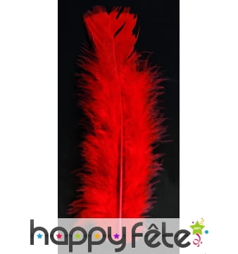 Sachet 50 plumes rouge pied plat 10 cm