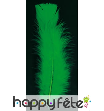 Sachet 50 plumes vert pied plat 10 cm