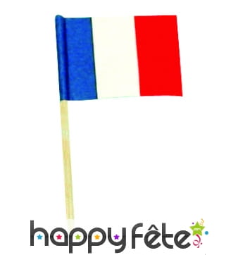 Sachet de 144 mini drapeaux français