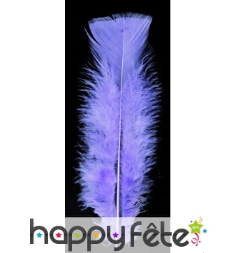 Sachet de plumes pied parmes