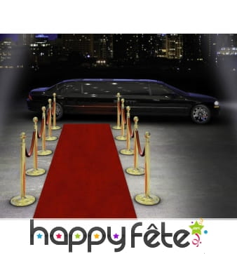 Tapis rouge de 15m