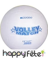 Ballon de volley