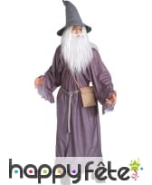 Costume de Gandalf pour adulte