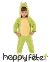 Costume de grenouille verte pour enfant