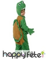 Costume de tortue pour petit garçon