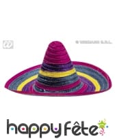 Chapeau mexicain en paille adulte multicolore