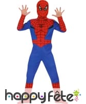 Costume Spiderman Licence