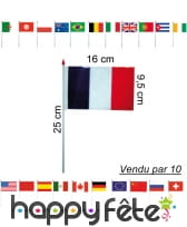 Drapeaux en plastique de 9.5 x 16 cm