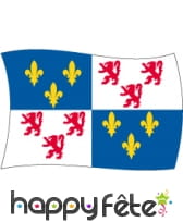 Drapeau Picardie (100x150)