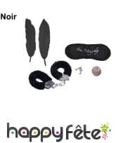 Ensemble d'accessoires pour jeux coquins, image 1