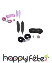 Ensemble d'accessoires pour jeux coquins