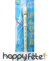 Flute en plastique