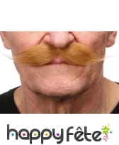 Moustaches blondes pour homme