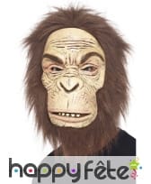 Masque de singe avec cheveux