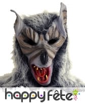 Masque intégral de loup garou