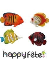 Magnet poisson tropical