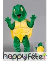 Mascotte tortue style franquelin