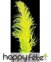 Plume autruche jaune 55/60 cm