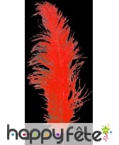 Plume autruche rouge 55/60 cm