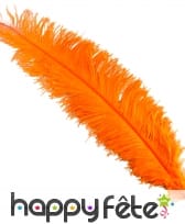 Plume d'autruche orange