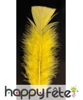 Sachet 100 plumes jaune pied plat 15 cm