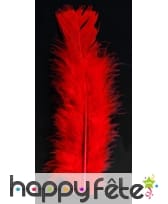 Sachet 100 plumes rouges pied plat 15cm