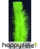 Sachet 150 plumes vert clair pied plat 15cm