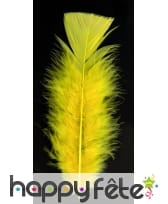 Sachet 50 plumes jaune pied plat 10 cm