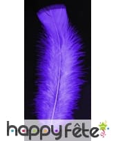 Sachet 50 plumes violet pied plat 10 cm