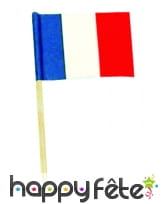 Sachet de 144 mini drapeaux français