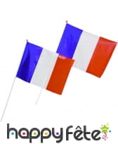 Sachet de 25 drapeaux français