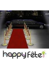 Tapis rouge de 15m