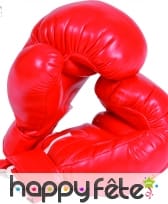 Vrais gants de boxe professionnels