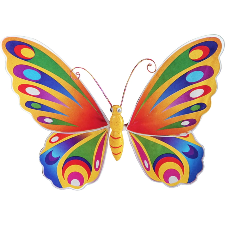 Ailes De Papillon Multicolores Pour Enfant