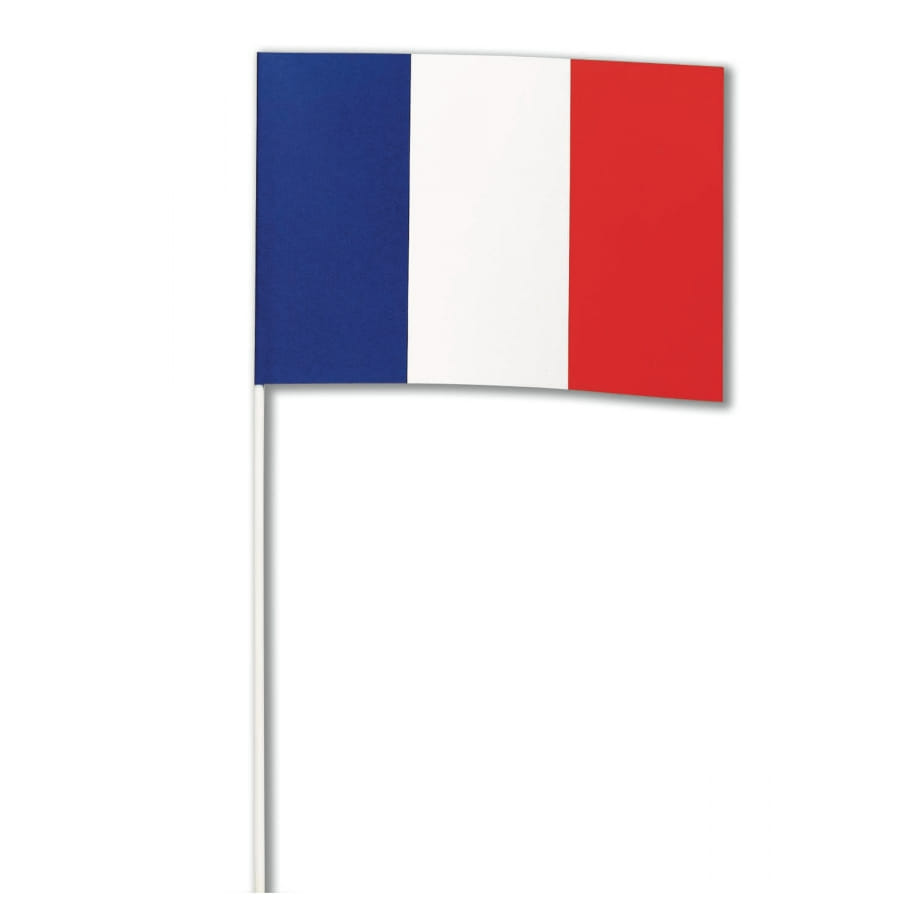 KAFNIK – petit drapeau français, 14x21CM, 50 pièces, drapeau National à la  main avec poignée