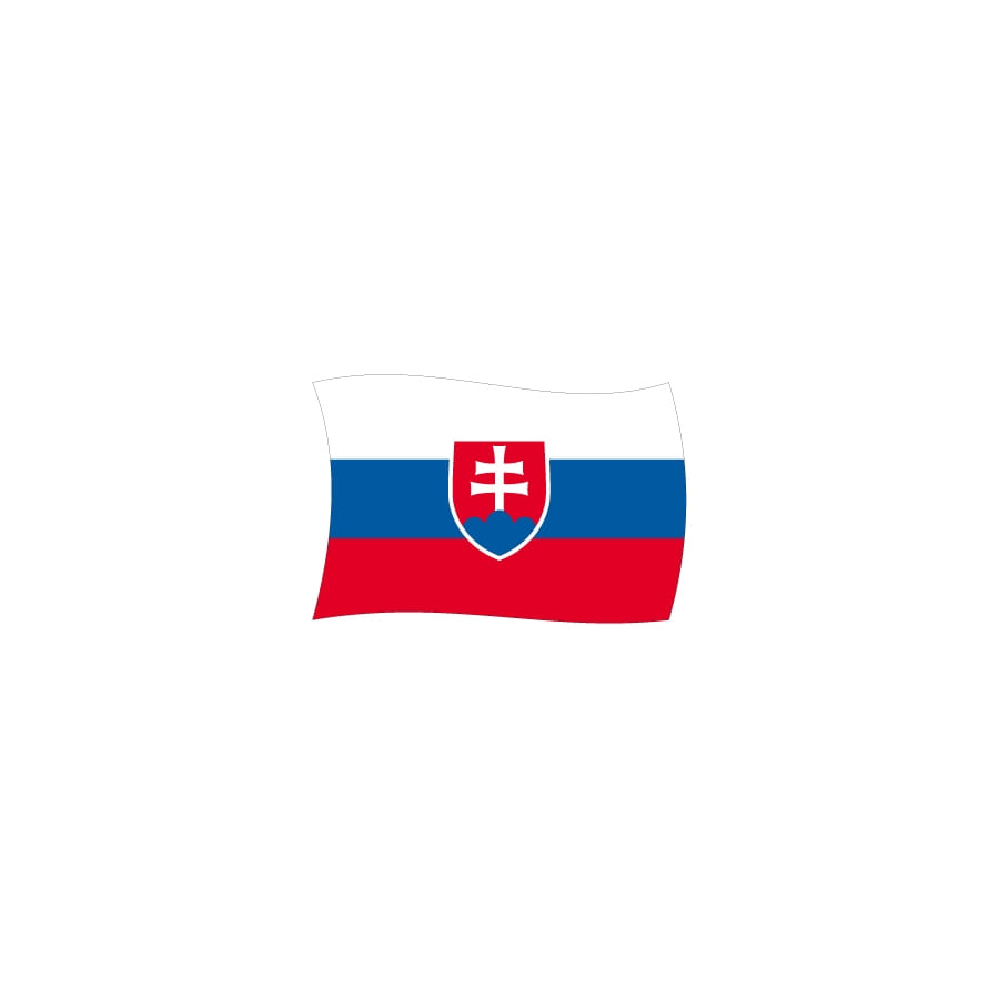 Drapeau Slovaquie (150x225)
